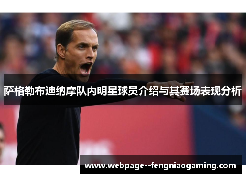 萨格勒布迪纳摩队内明星球员介绍与其赛场表现分析