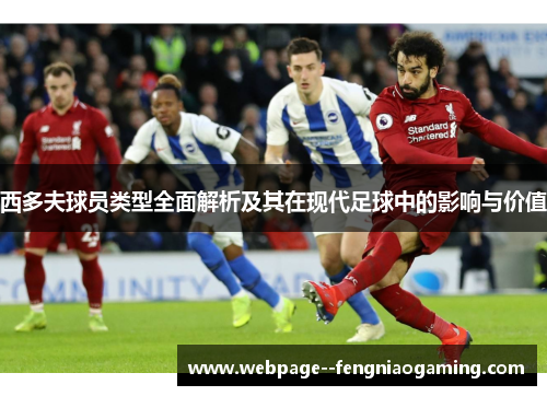 西多夫球员类型全面解析及其在现代足球中的影响与价值