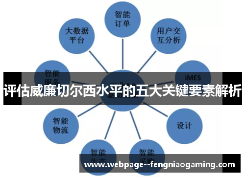 评估威廉切尔西水平的五大关键要素解析