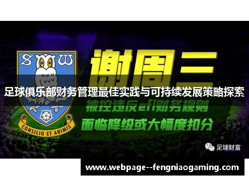 足球俱乐部财务管理最佳实践与可持续发展策略探索