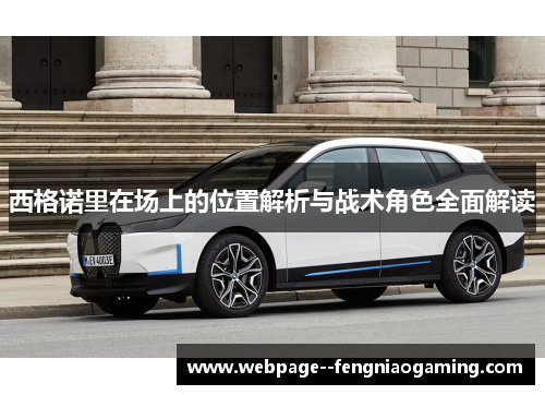 西格诺里在场上的位置解析与战术角色全面解读