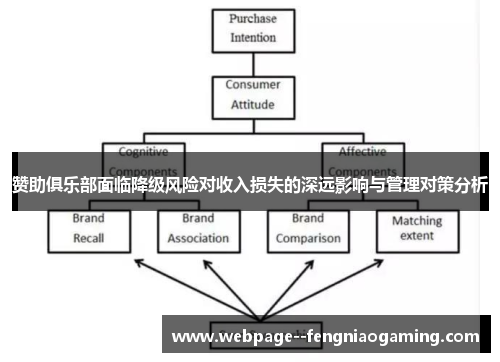赞助俱乐部面临降级风险对收入损失的深远影响与管理对策分析