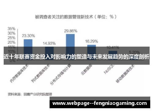 近十年联赛资金投入对影响力的塑造与未来发展趋势的深度剖析