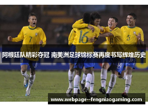 阿根廷队精彩夺冠 南美洲足球锦标赛再度书写辉煌历史